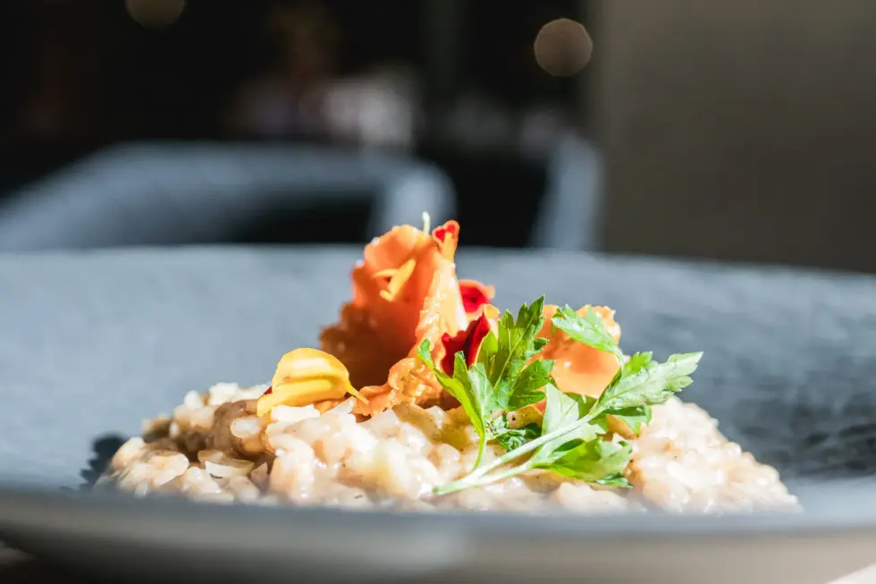 Kanttarellirisotto, lounas. Ravintola Koski. Vaakakuva